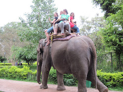 but also making time to ride on elephants...