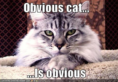 obvious%2Bcat.jpg