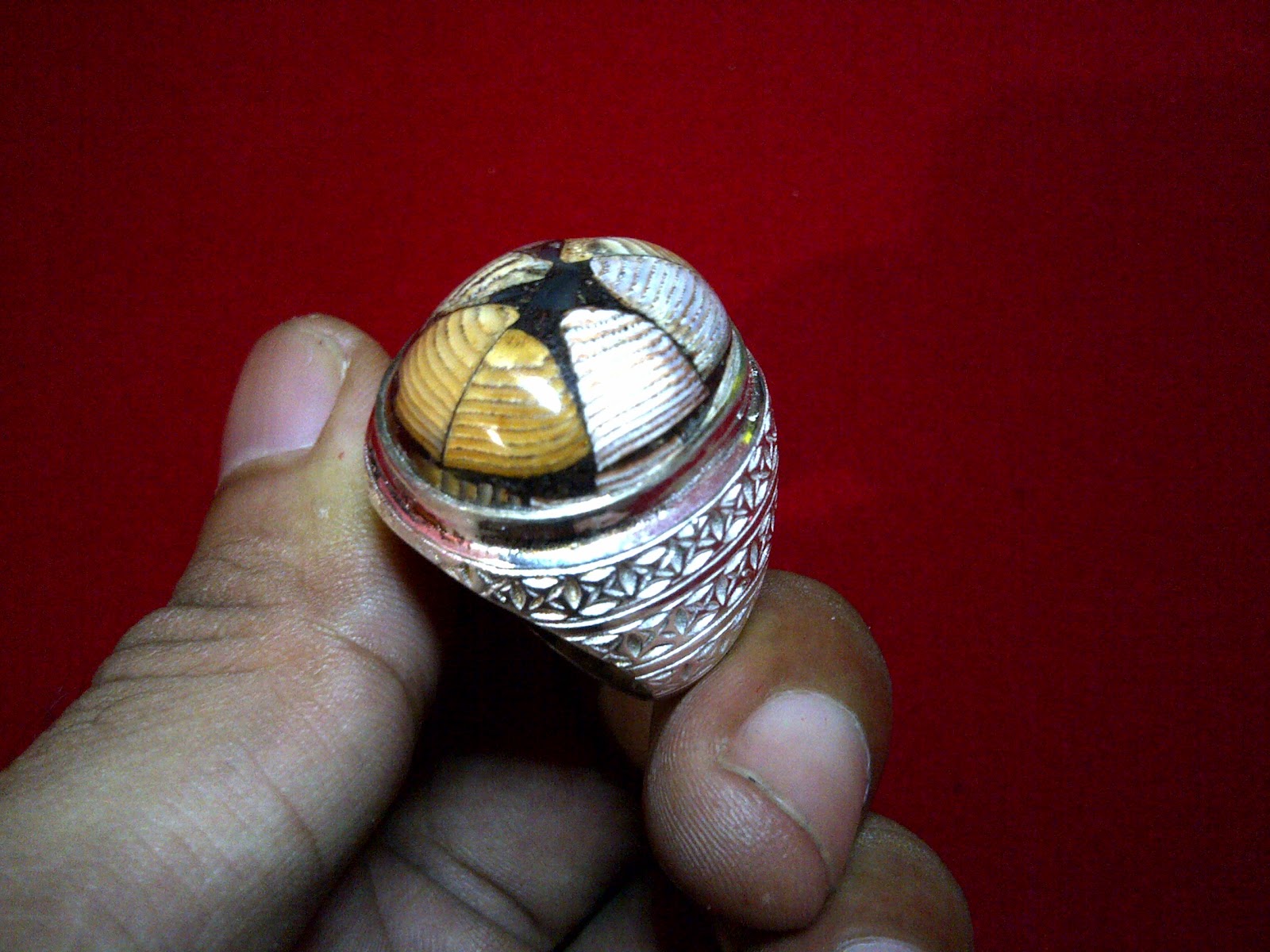 wong jowo MUSTIKA SEDULUR PAPAT LIMO PANCER wong jowo MUSTIKA SEDULUR PAPAT LIMO PANCER