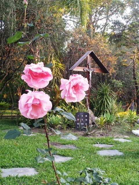 AS ROSAS TE ACOLHEM EM NOME DE CRISTO