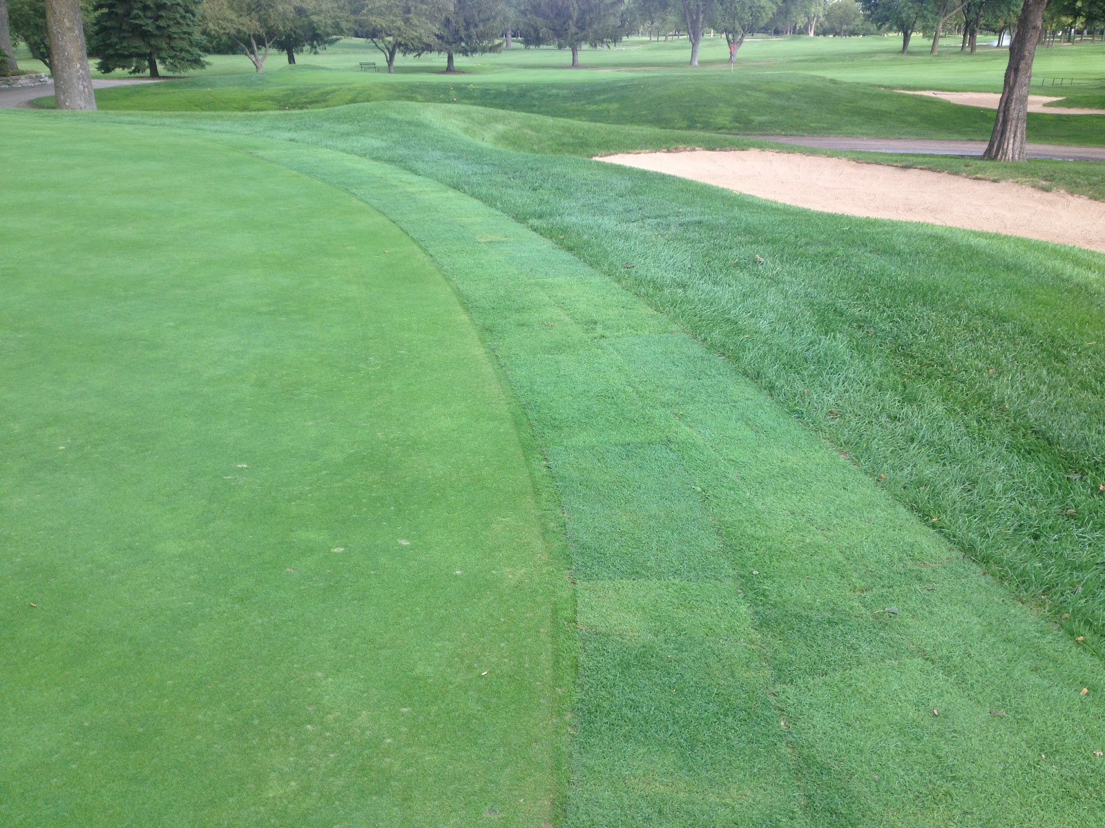 Ridgemoor Country Club Golf Course Maintenance Collar Sodding