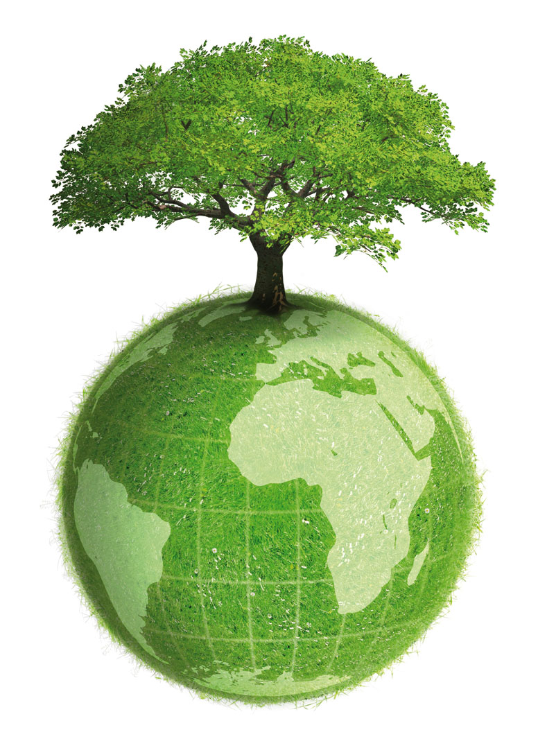 Hoy se celebra el día mundial del Medio Ambiente y la pregunta aquí