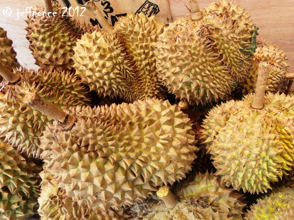 Bisayang Manlalakbay around the Philippines Cheapest Fruits at