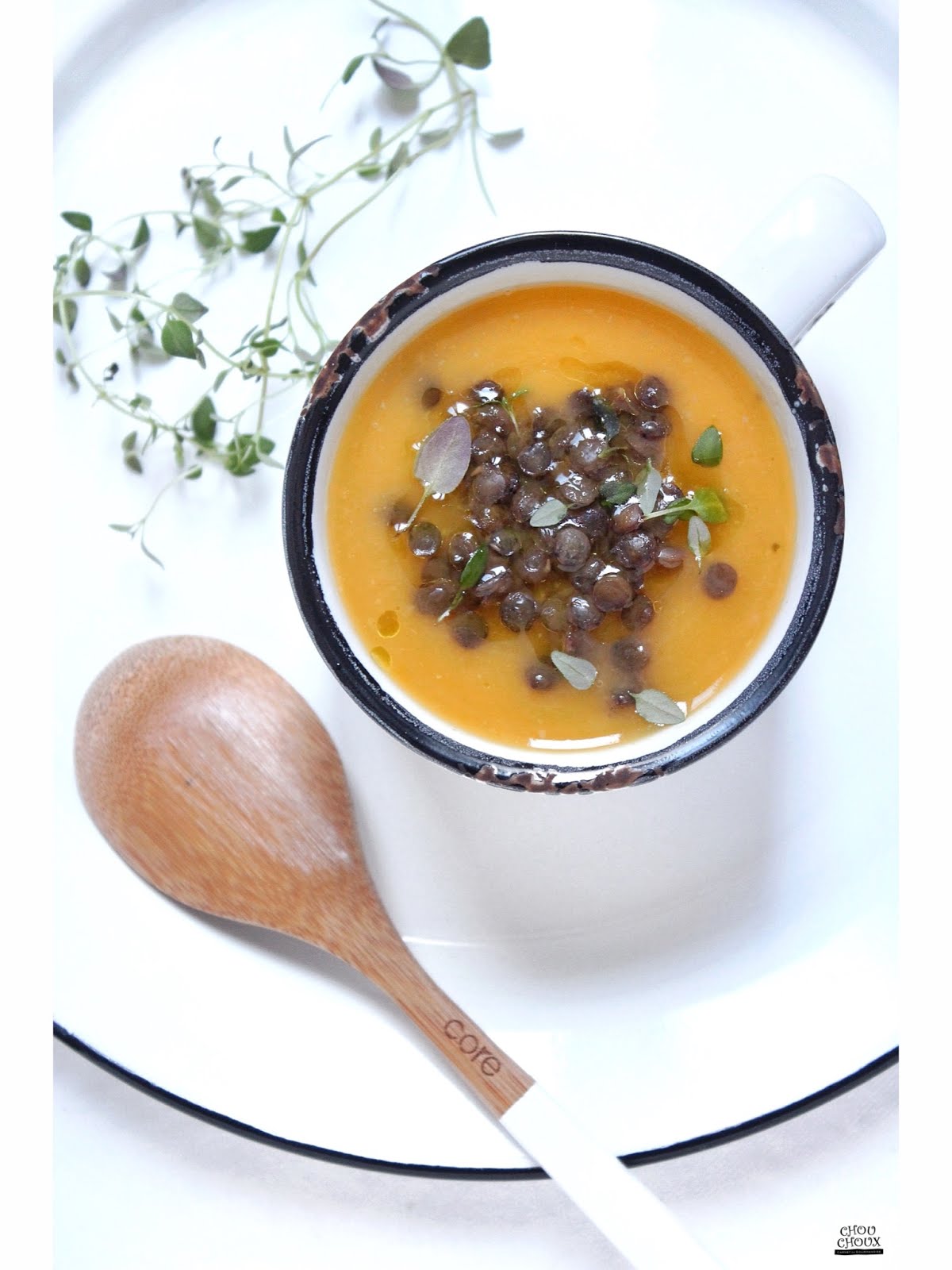My Chouchoux Butternut Squash And Turnip Soup With French Lentils