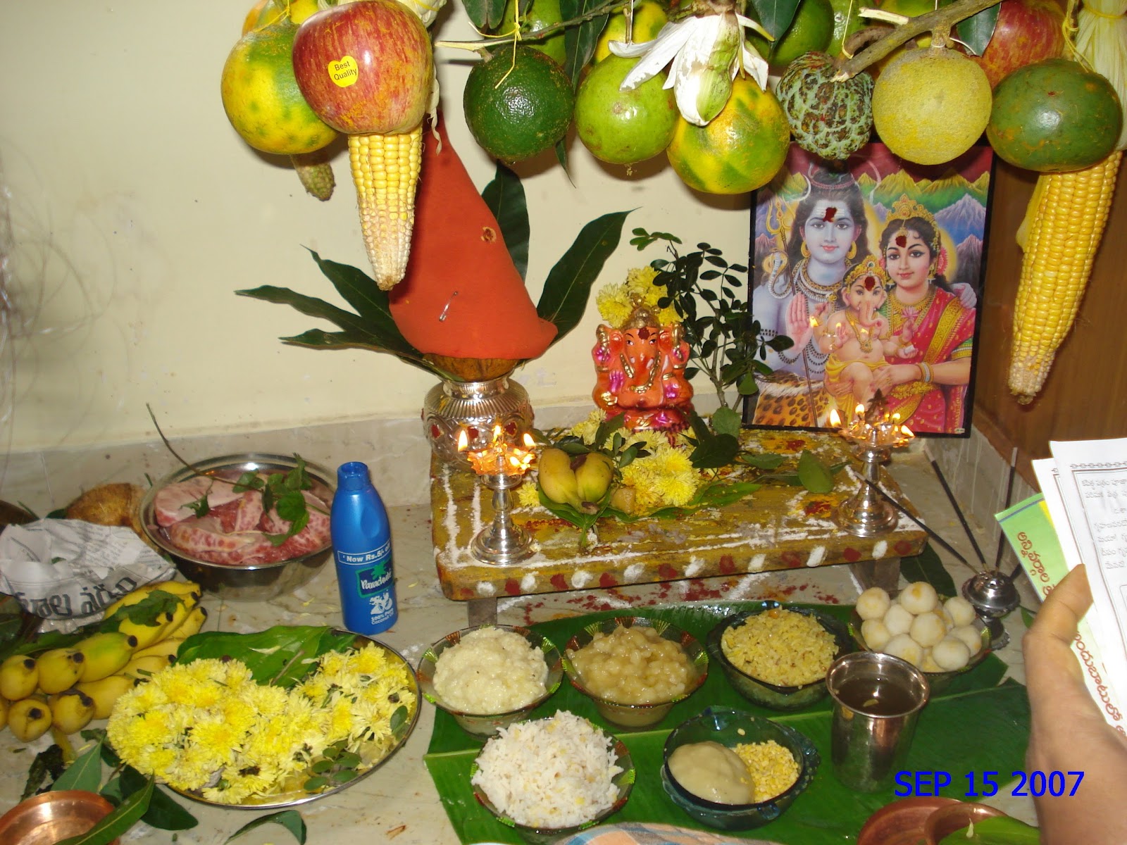 Fantastic Feathers Vinayaka Chavithi festival