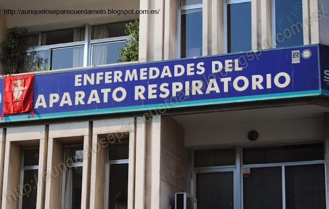 foto de sevilla eterna con pancarta enfermedades aparato respiratorio