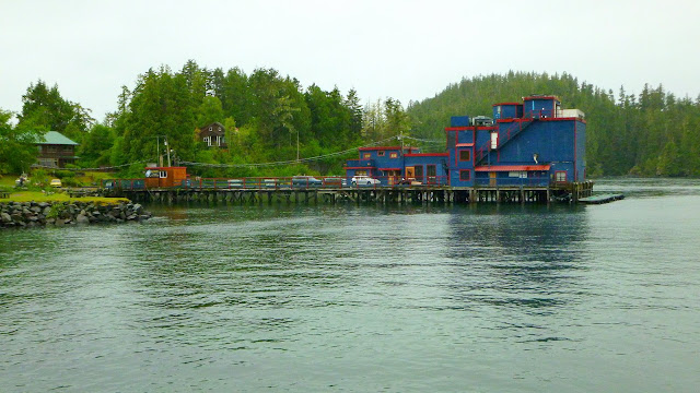 A touch of colour on an otherwise grey day in Tofino