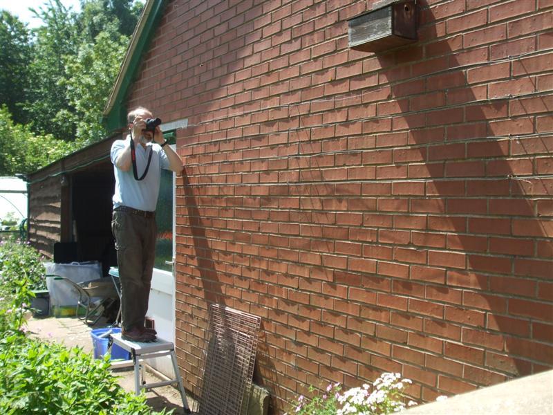 The Compost Bin Well matched with Argos )