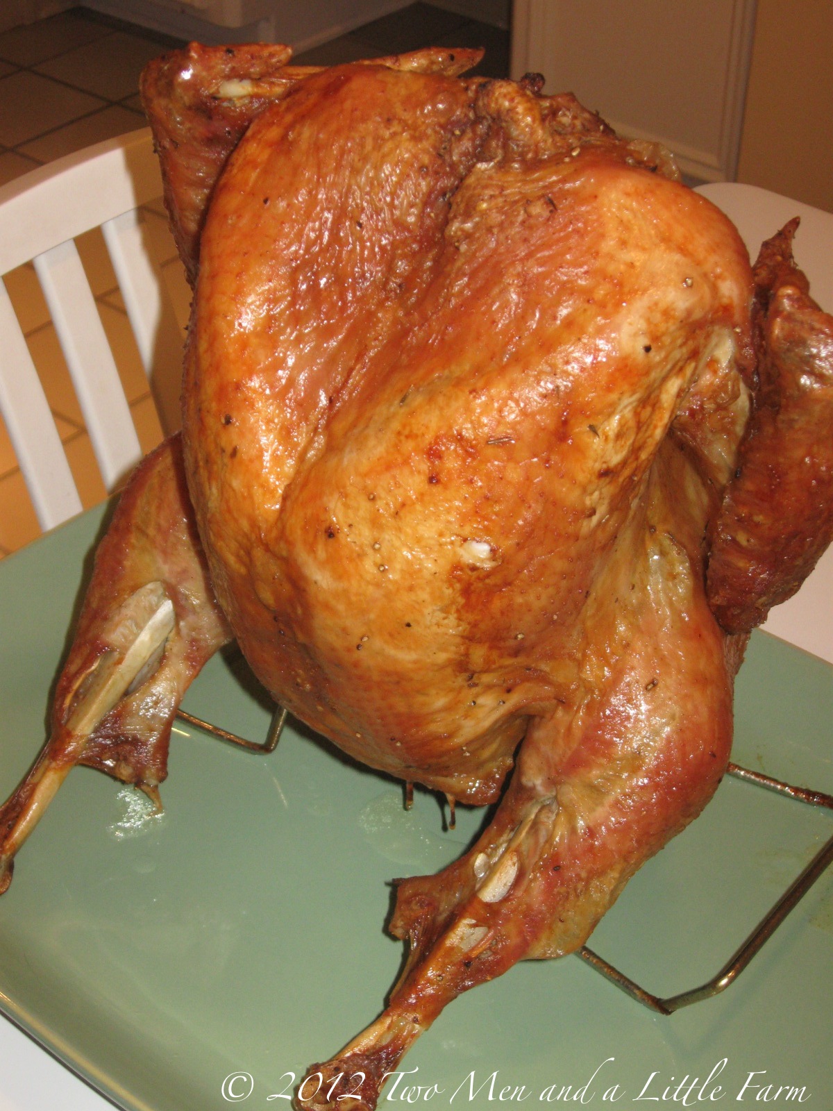 Two Men and a Little Farm VERTICALLY ROASTED TURKEY