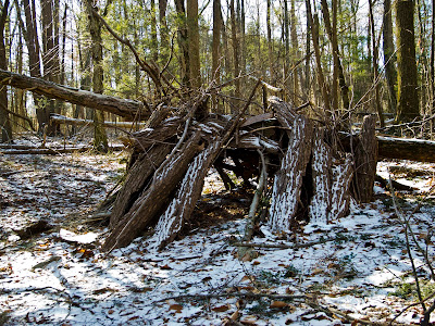 An Improvised Shelter along The Paugusett Trail in Shelton CT An Improvised Shelter along The Paugusett Trail in Shelton CT