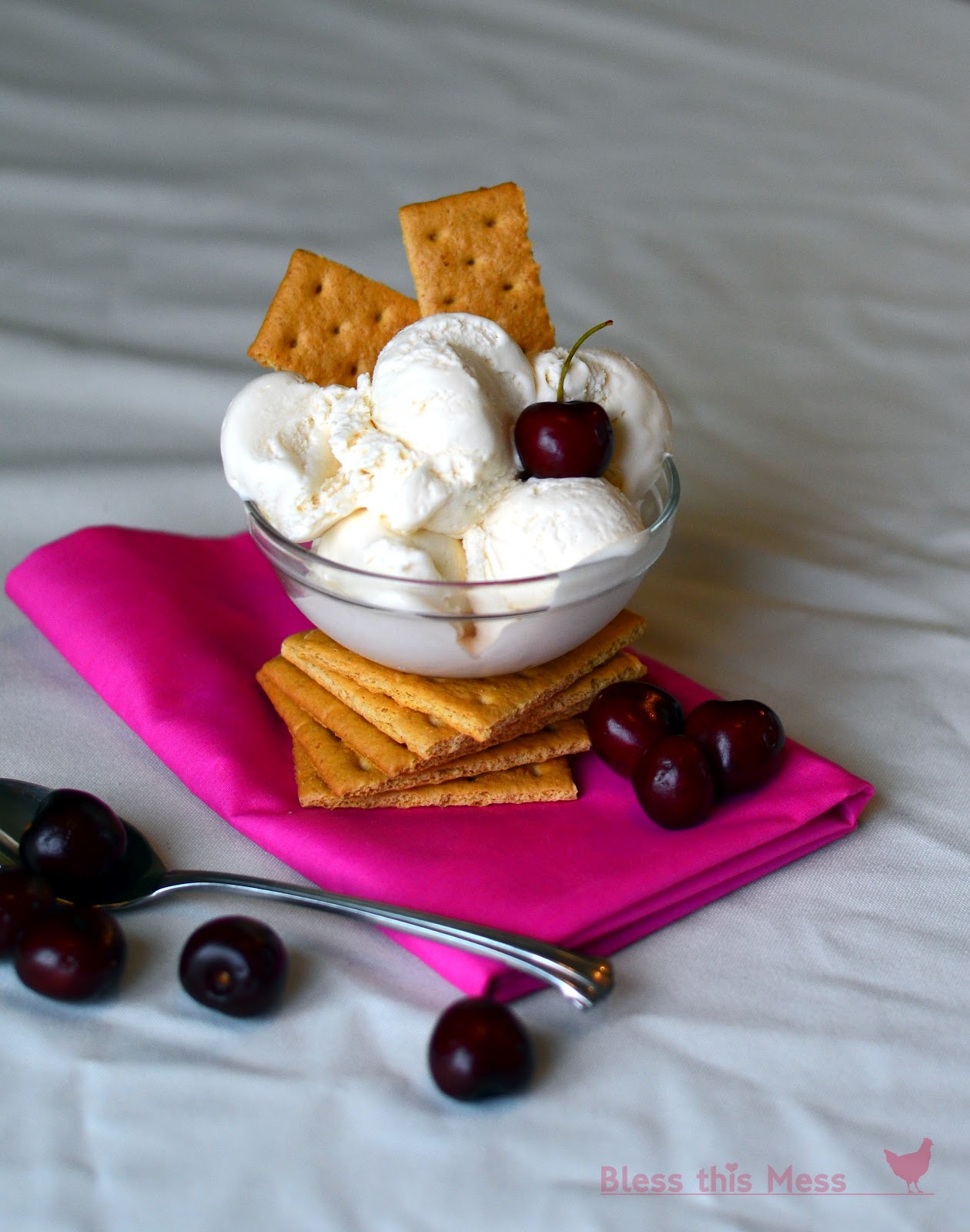 Cheesecake Ice Cream — Bless this Mess