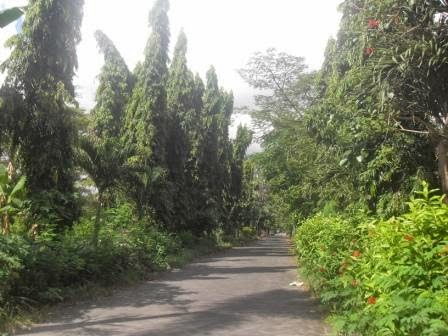 Jalan masuk salah satu block Jalan masuk salah satu block perum Gunung sari indah wiyung