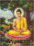 Sidarta Gautama, o Buda