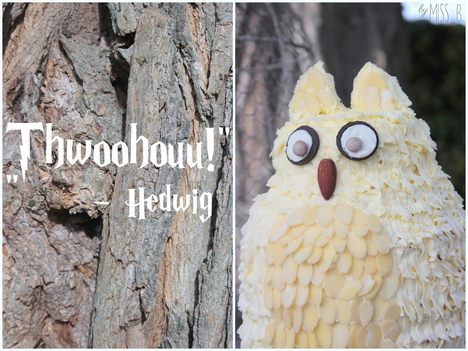 Th Owl Schulen Fur Die Welt Spende Fur Unsere Organisation