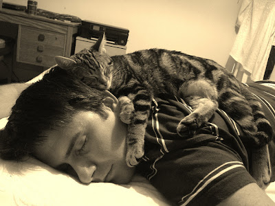 Young white man sound asleep with striped kitten asleep on his neck and shoulders