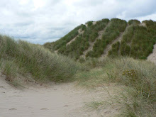 Ynyslas