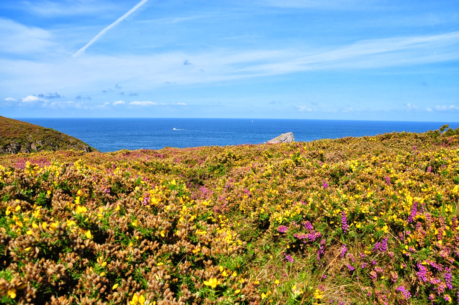 Cap Frehel