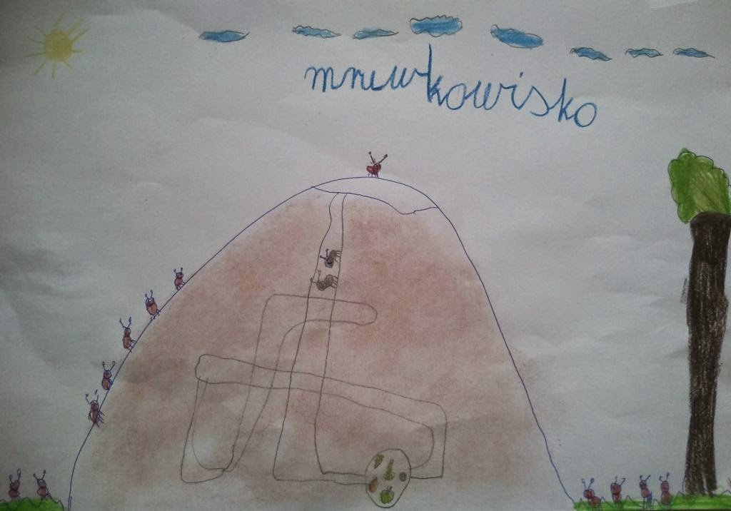 mruwkowisko                          