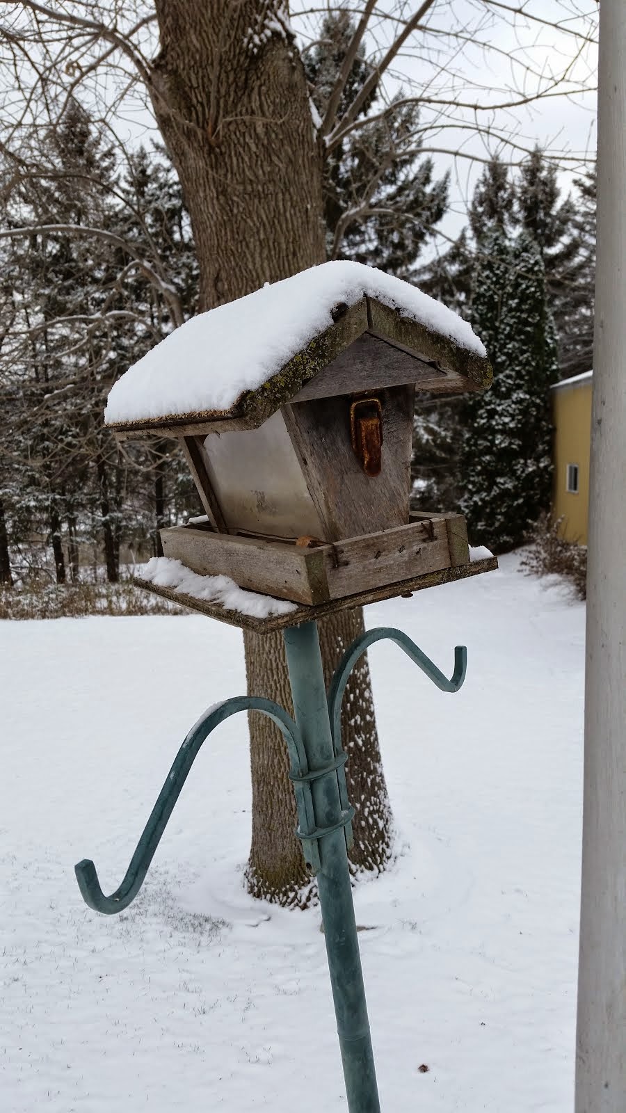 Backyard birdhouse snowed in