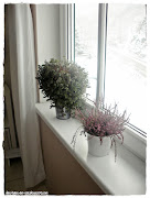 Accessoires einer Vierjährigen :) 4. Auf deiner Fensterbank (dscn )