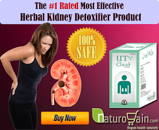 Herbal Remedies To Detox Kidneys Naturally