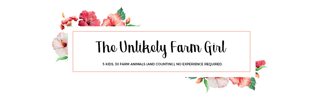 The Unlikely Farm Girl