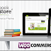 Book Store v1.8.0 – Themefores Responsive WooCommerce Theme