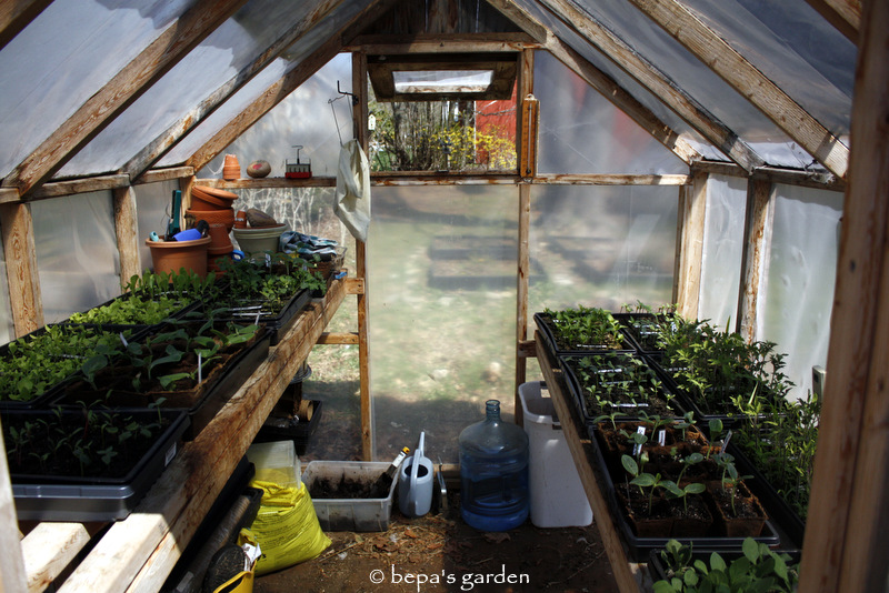 Bepa's Garden Using a shade cloth to cool the greenhouse