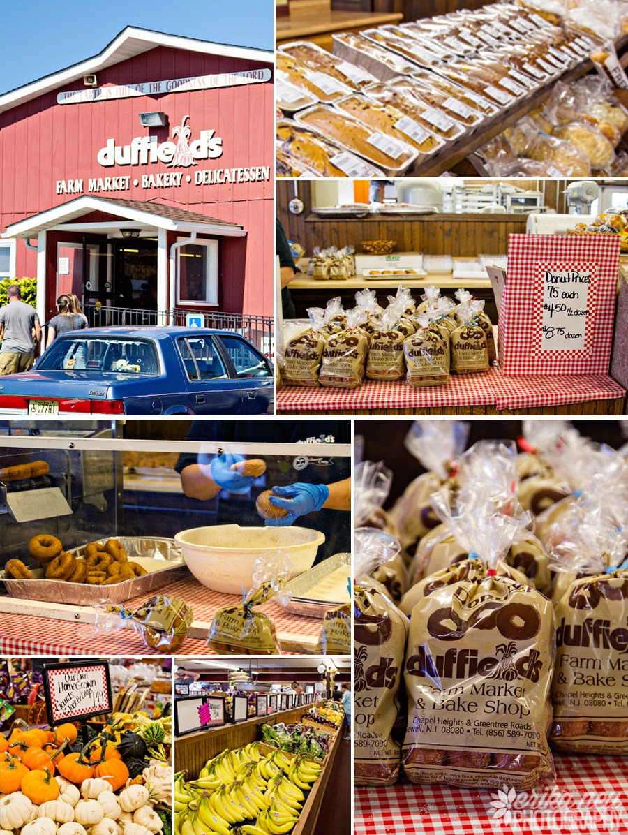 A Neu York Adventure New Jersey's BEST Apple Cider Donuts?...Duffield