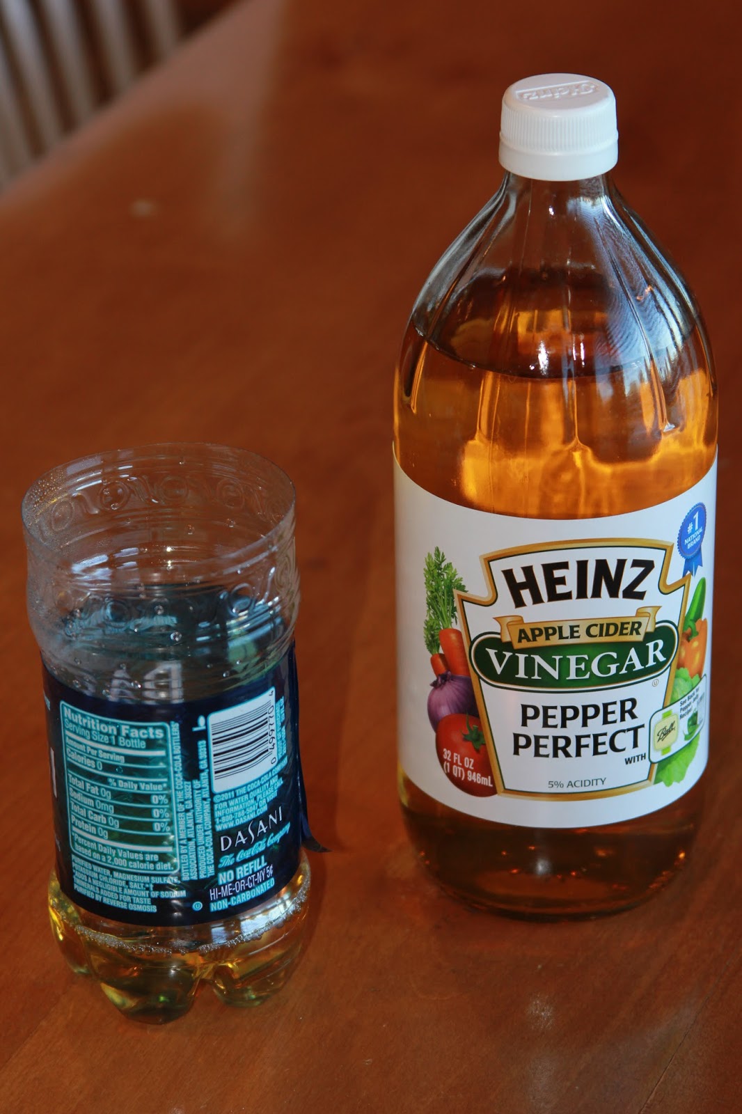 Time of Our Lives Fruit Fly Trap Cheap, But Effective!