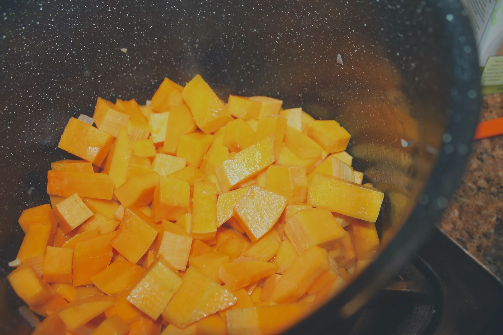 BUTTERNUT SQUASH, APPLE, + ONION SOUP — i can't afford my lifestyle