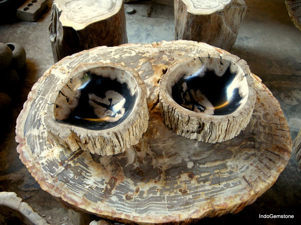 IndoGemstone Polished Petrified Wood