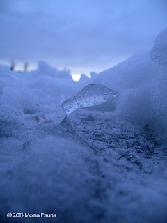 An early afternoon Winterscape with Ice.