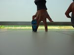 Thanks for read my blog-Fingerboard is awesome