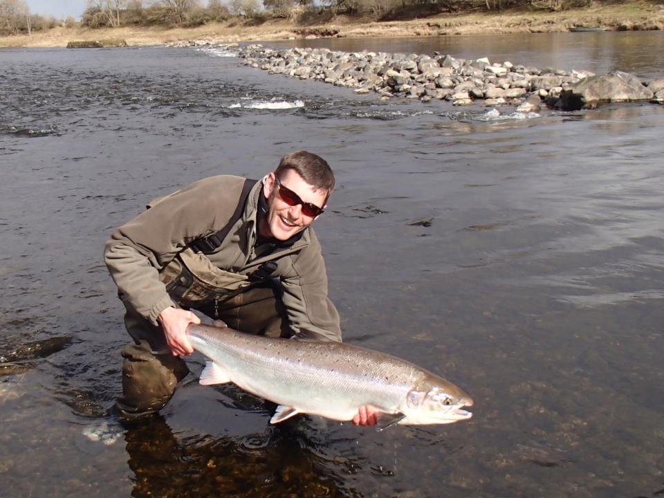 Salmon Fly Large River Tweed Springer Landed From Sprouston Beat