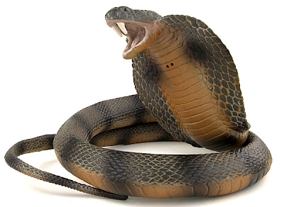 Spitting Cobra Top 10 The Most Dangerous Snakes in the World