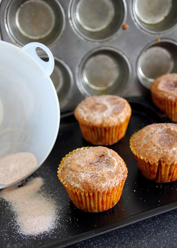 Deb's Dust Bunny Applesauce Spice Muffins