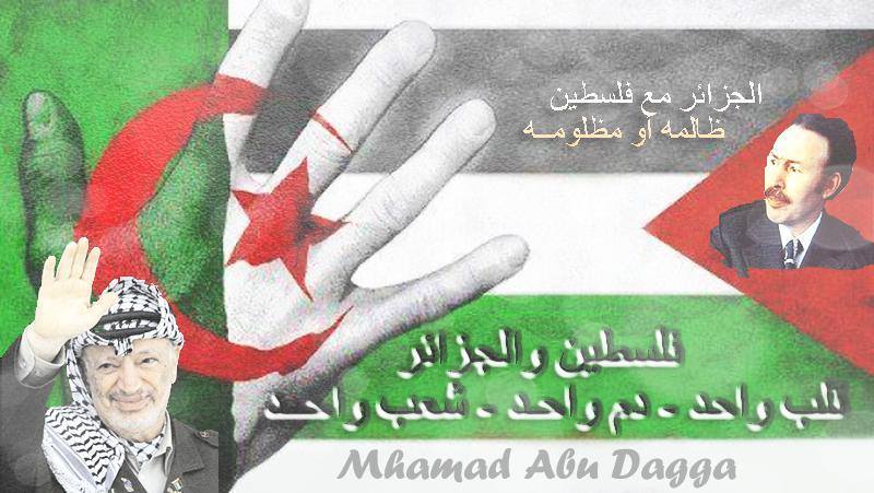فلسطين والجزائر قلب واحد دم واحد شعب واحد