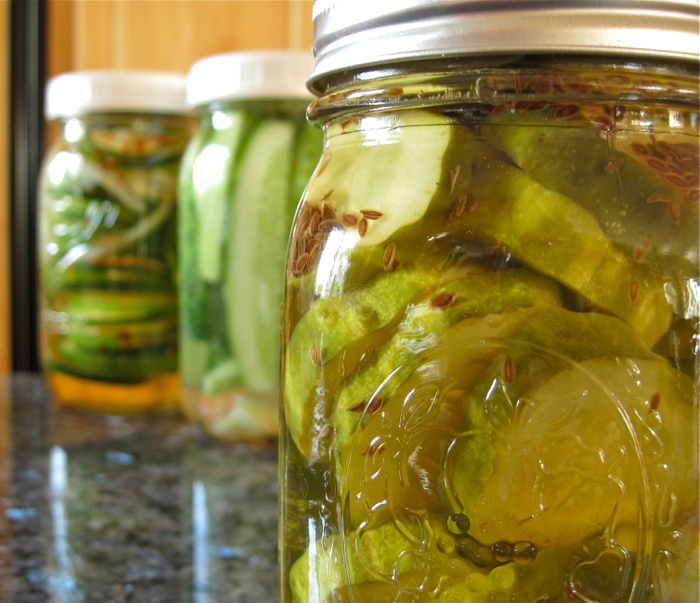 How to make all kinds of pickles (or, the Pickling Ninjipedia) Yankee
