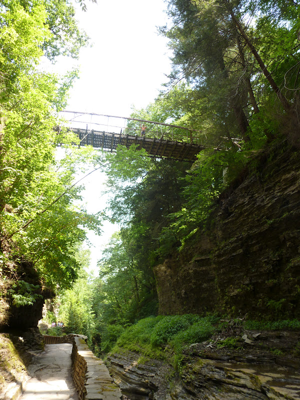 Keeping up with T&D on the Road Watkins Glen State Park