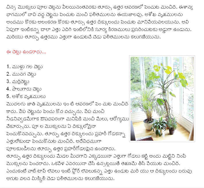 TELUGU WEB WORLD house garden trees what to grow or not house