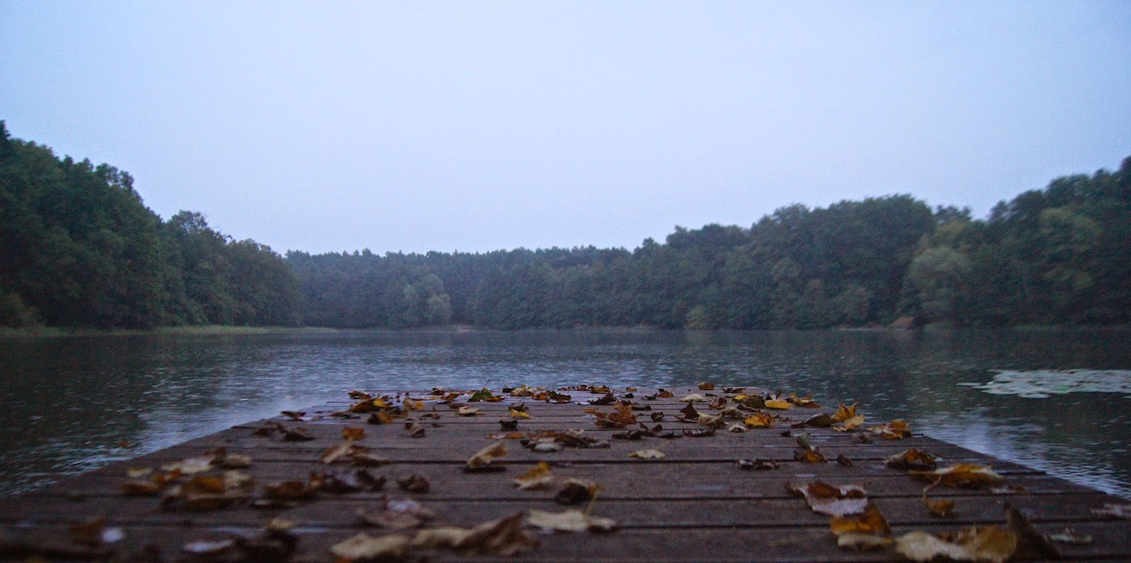 Kustenkidsunterwegs 5 Ausfluge Mit Kindern Bei Regenwetter In Kiel