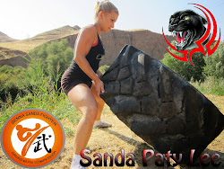 SANDA CHINESE BOXING