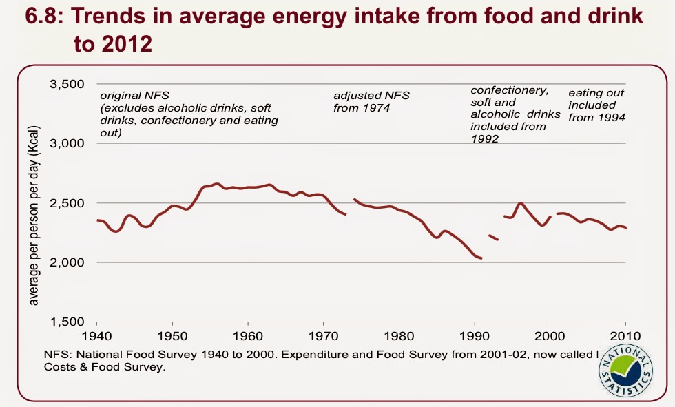 food intake chart