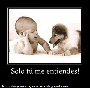 gracioso imagenes graciosas foto gracioso imagenes graciosas foto