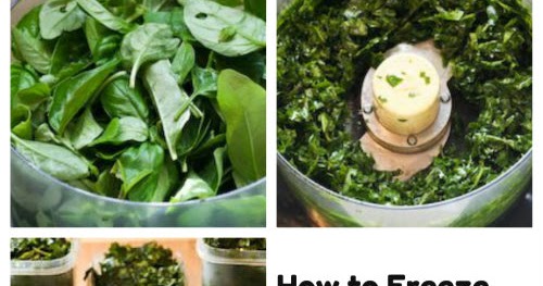 How to Freeze Fresh Basil | Secret Recipes