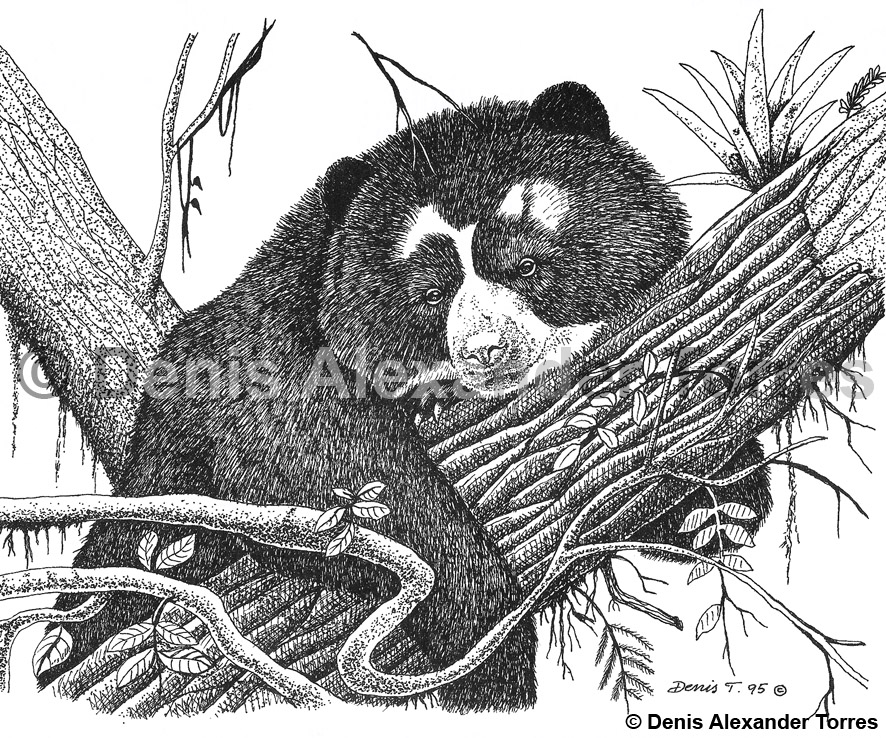 Vision Torres Imagenes De Nuestro Mundo Ilustrando A Tinta China