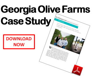 Tim Forrest Georgia Olive Farms Case Study http://bit.ly/1jnNyA0