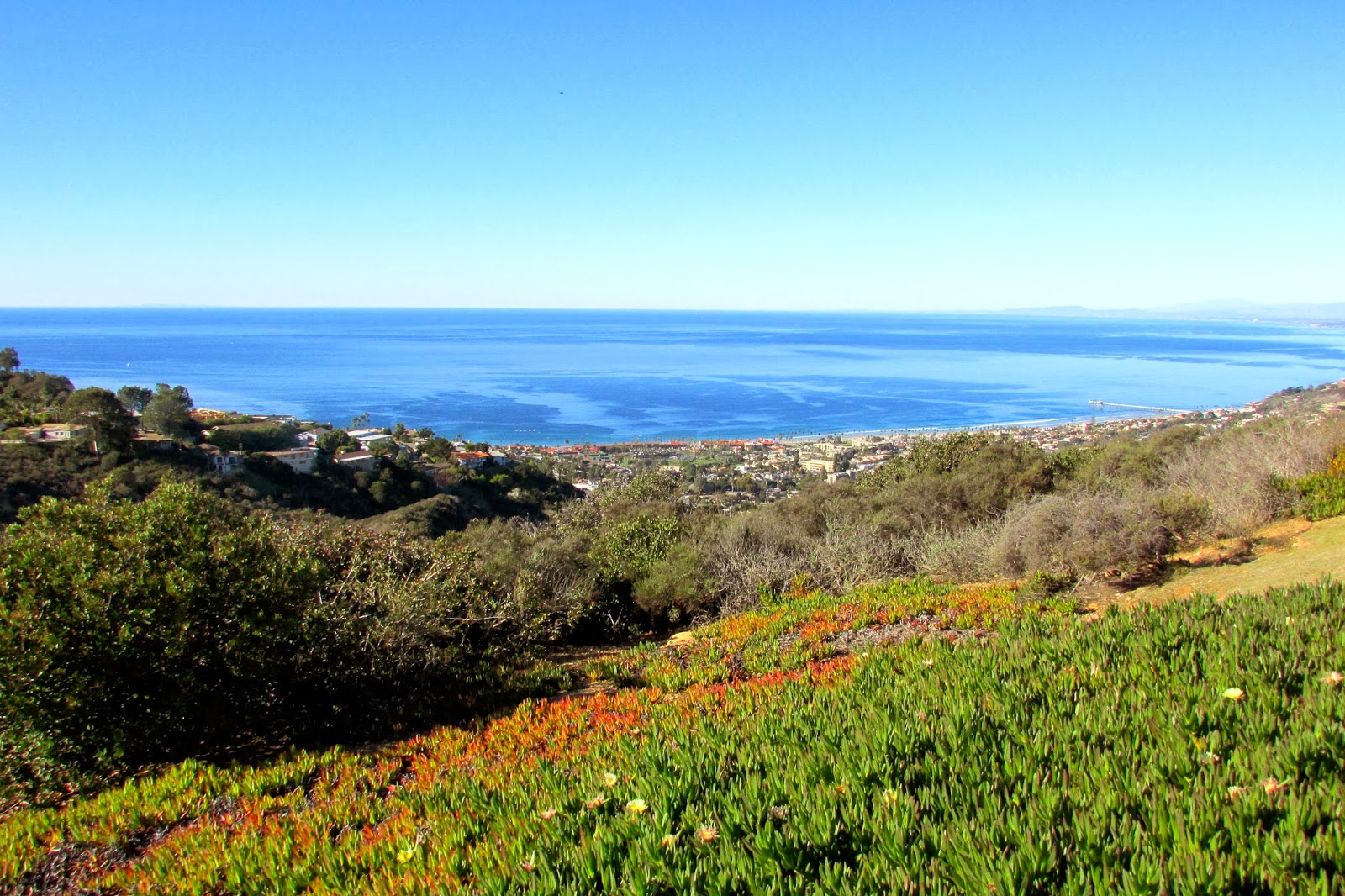 Jenna's Lovely Jamboree Mt. Soledad La Jolla, California