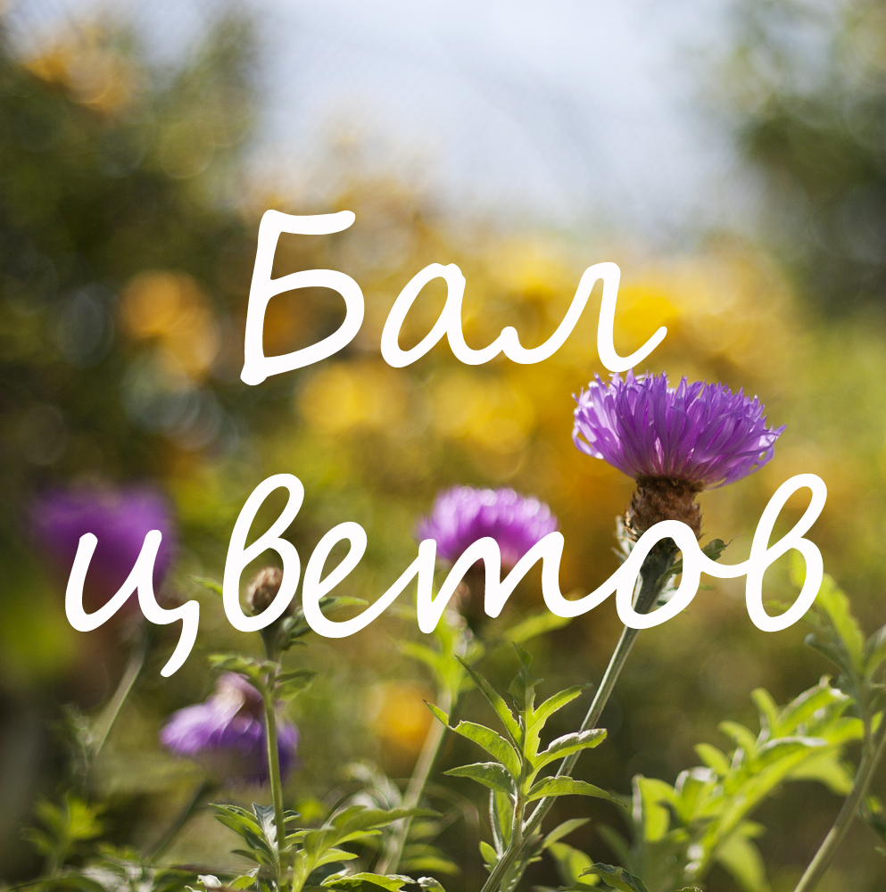http://lesyanovo.blogspot.ru/2015/07/blog-post.html